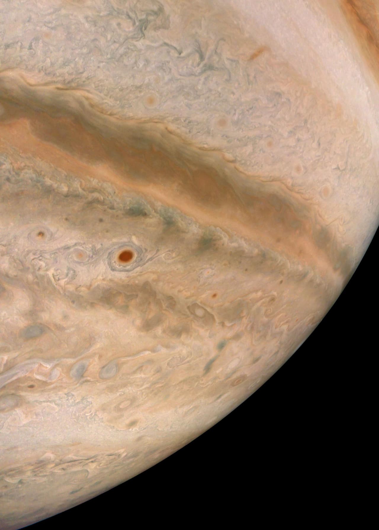Remolinos en la atmósfera turbulenta de Júpiter. La nave espacial Juno captó esta vista de bandas de nubes y remolinos al sur del gigantesco planeta. “El vórtice circular oscuro al centro de la imagen es un ciclón que se extiende aproximadamente 250 millas (unos 400 kilómetros). Es probable que el color en su centro sea el resultado de los vientos descendentes que despejaron las nubes de los niveles superiores, revelando un material más oscuro debajo”, explica NASA sobre la imagen.
<br>