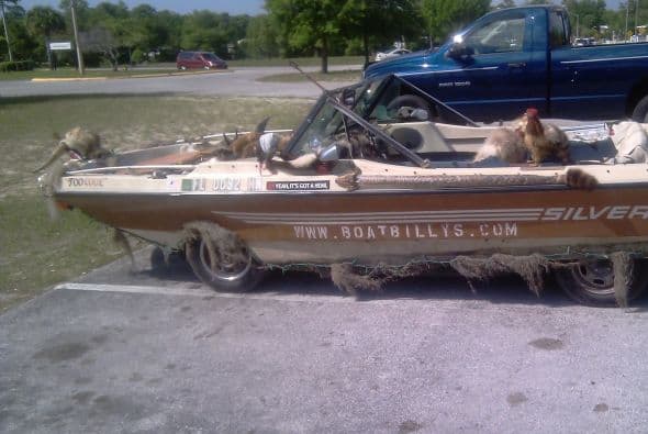 Cosas insólitas que solo se ven en Florida.