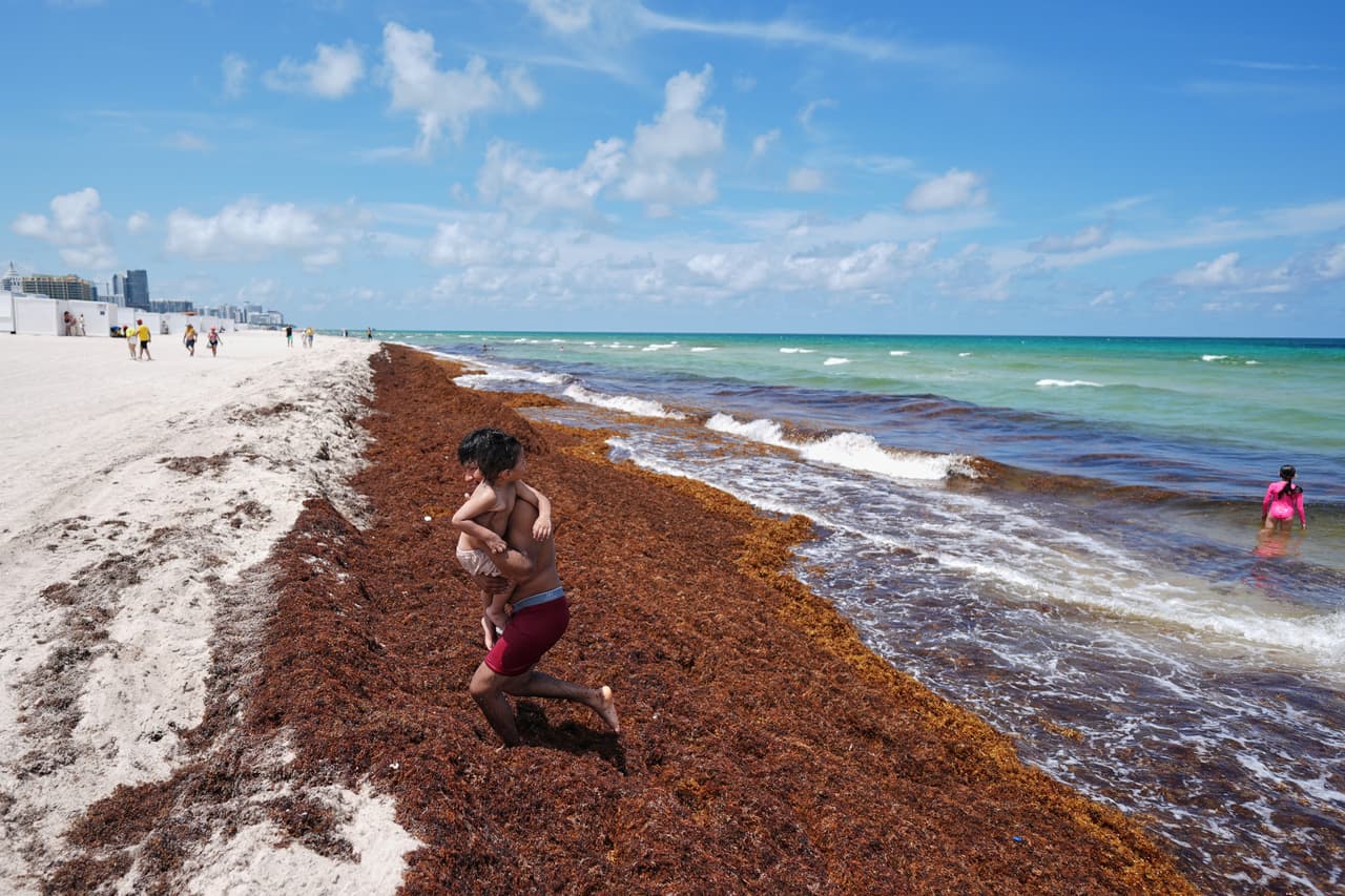 <b>4. Miami Beach, Florida (41.98)</b>
<br> 
<br>Miami Beach ha sido noticia este verano por las grandes cantidades de sargazo, un alga invasora, que ha registrado en sus arenales como se puede ver en la fotografía. 
<br>
<br>Es una ciudad forjada en la tragedia. El Gran Huracán de Miami de 1926 golpeó Miami Beach de madrugada. La marejada llegó a inundar completamente Miami Beach y el agua del océano llegó a extenderse varias millas en tierra.
<br>
<br>Después de la devastación de 1926 y de la crisis económica, Miami Beach se reconstruyó en los años 30 abrazando el Art Déco. Hoy la ciudad tiene más de 800 edificios Art Déco construidos entre 1923 y 1943, la mayor concentración de este estilo del mundo.
<br>
<br>Aparece como la cuarta más peligrosa del país con 41 puntos sobre 100. Y es que la bahía es la 17.ª zona metropolitana más peligrosa del país
<b> </b>para los peatones, con una tasa de 3.4 muertes por cada 100,000 habitantes al año, según el informe más reciente de 
<i>Smart Growth America</i>, una organización sin fines de lucro que rastrea las muertes peatonales en todo el territorio nacional.