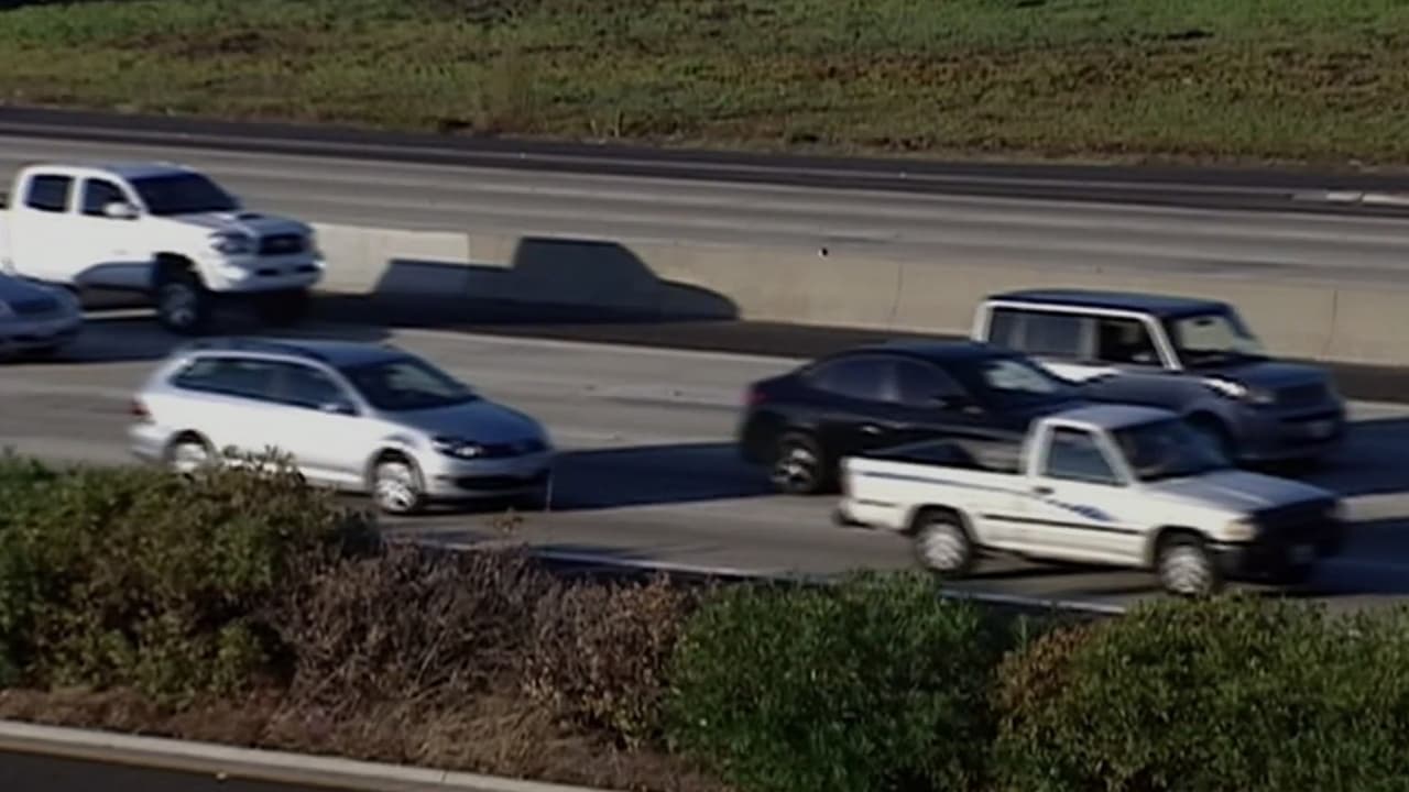 Miami-Dade lanza programa Luz Verde para regularizar licencias y pagar multas