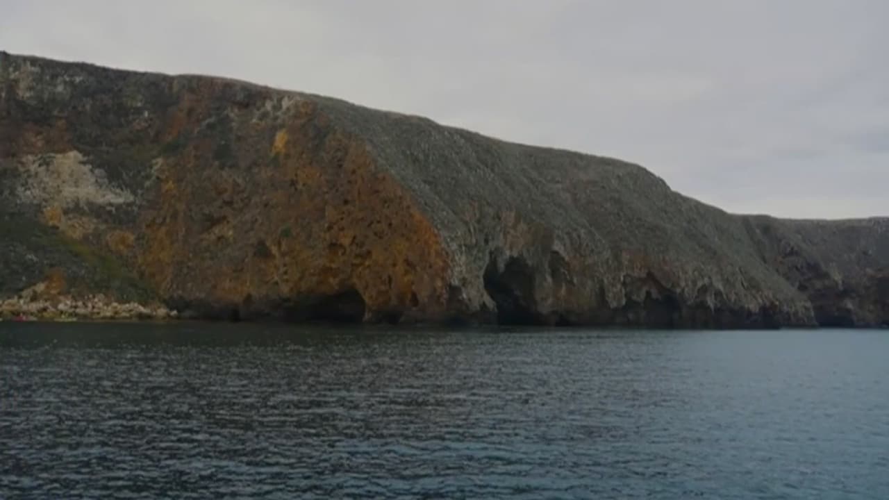 Experto alerta sobre impacto humano en ecosistemas marinos y cambio climático