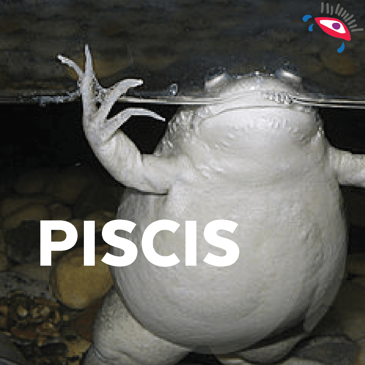 Todo los excesos de los cuales te has contenido en esta vida los vas a realizar en tu siguiente etapa, serás una rana obesa ahogada en el alcohol.