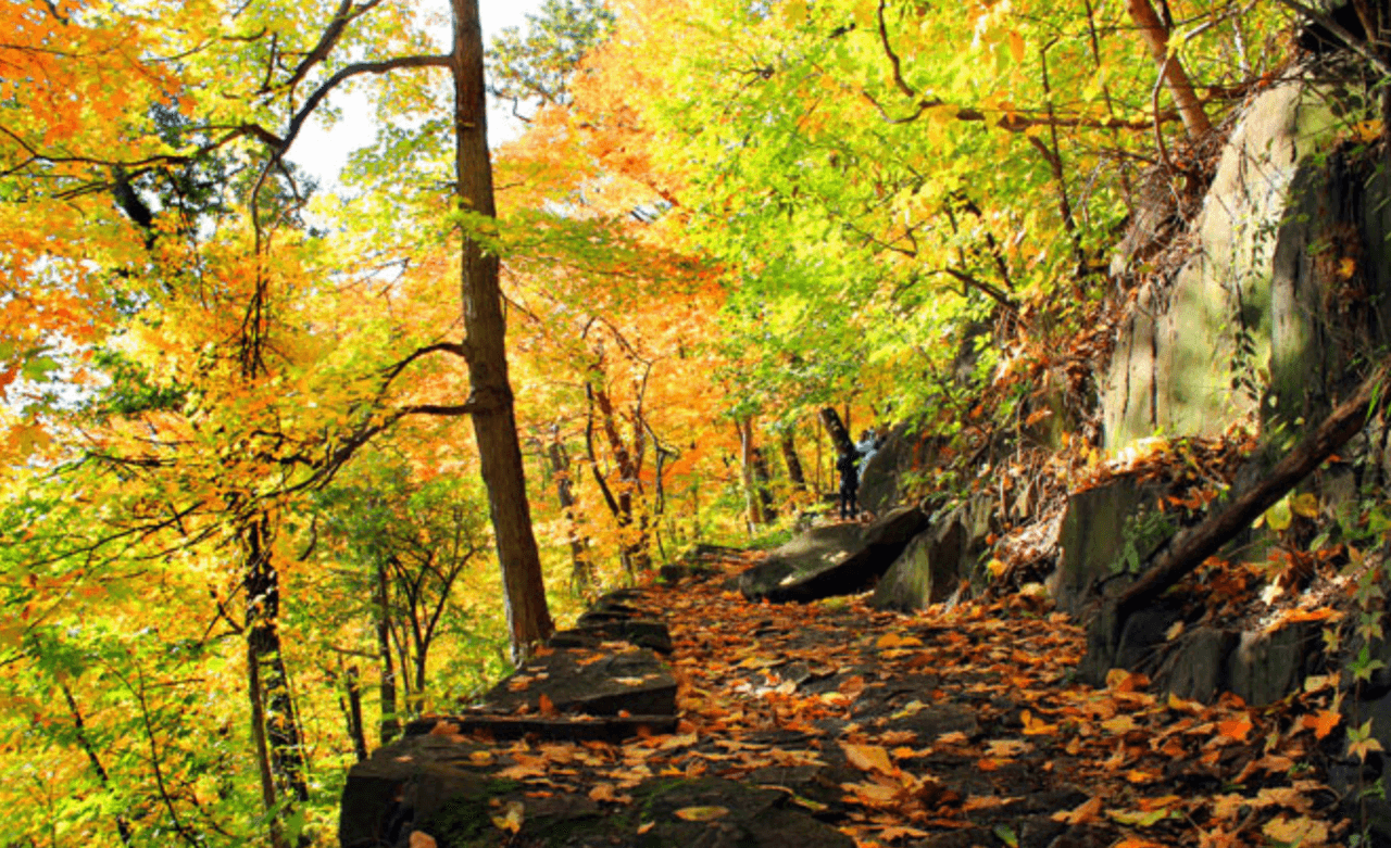Palisades Interstate Park, en Alpine.