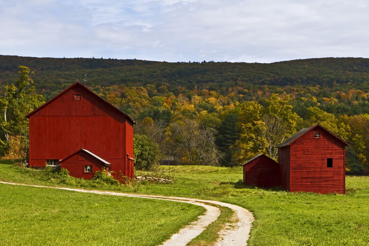 The Berkshires, Massachusetts:
<a href="http://berkshires.org/" target="_blank"> esta zona rural de montañas</a> tiene pueblitos a lo largo del camino y muchas granjas, que son el destino de miles de personas que llegan cada año a disfrutar de los colores del paisaje durante el otoño y de los servicios de comida
<i>farm to table</i>.