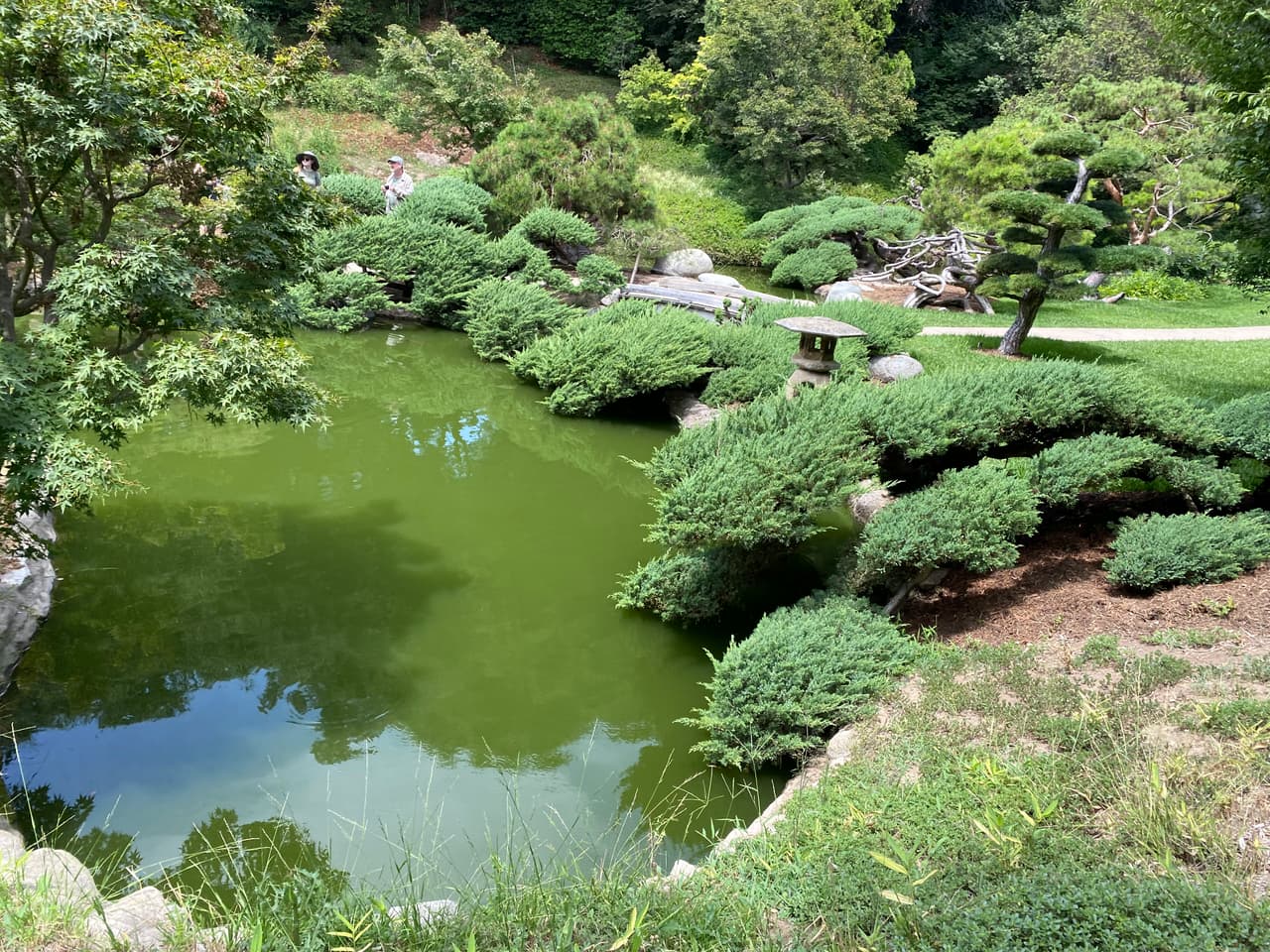 Otro de los atractivos del recorrido son el jardín japonés con una laguna, casa de gigantescos goldfish y hasta una sección especial para árboles bonsái.
