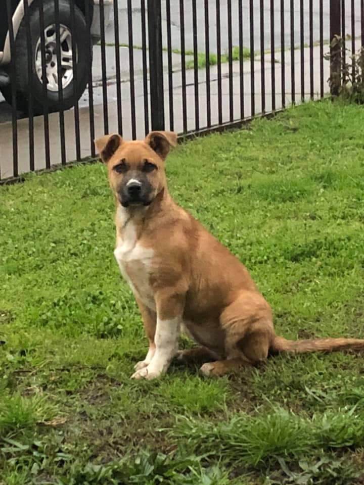 "Nuestra Bella Zoé" - Veronica Barragan