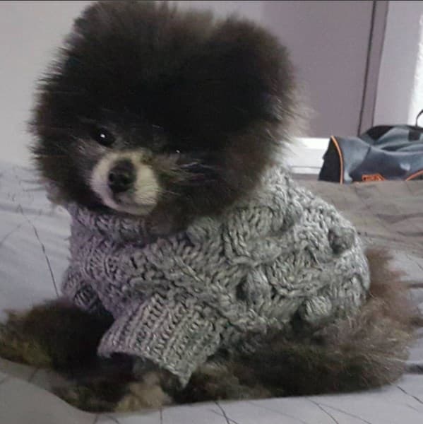 Manola luce un bello súeter tejido a mano en color gris.