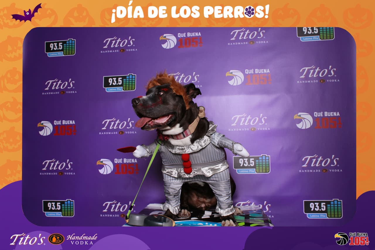 Cual fue tu favorito?