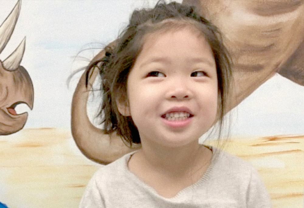 <a href="https://www.gofundme.com/in-honor-of-mia-lobo">Mia Lobo</a>, de 5 años, falleció en Carpentersville, Illinois, por complicaciones de la gripe el 21 de abril, luego de haber estado hospitalizada durante más de una semana.