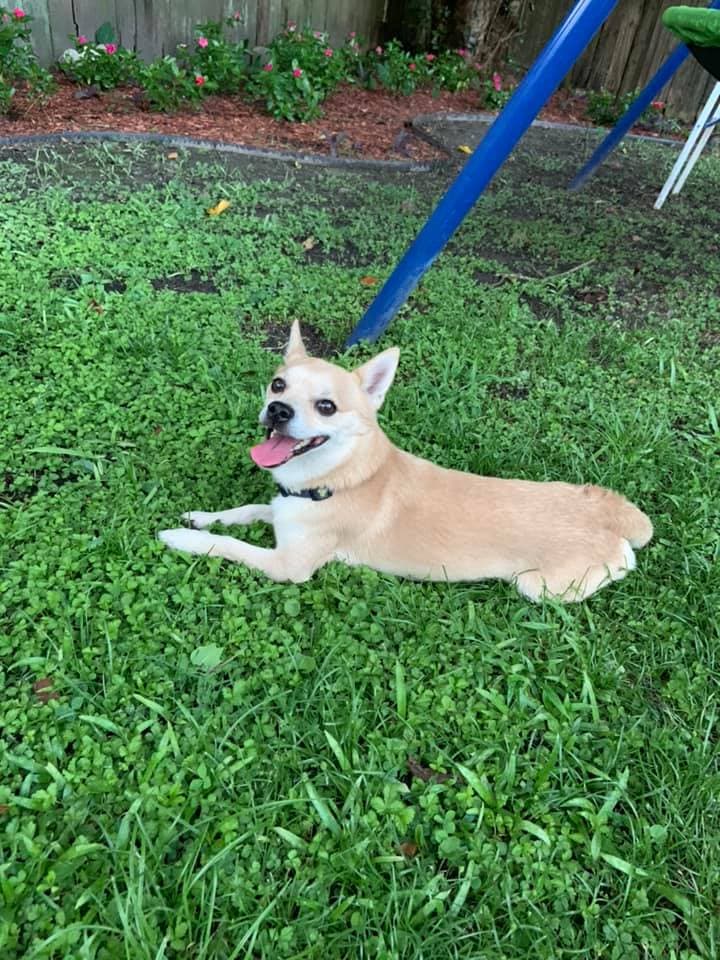 Lupita Rodriguez Reynoso