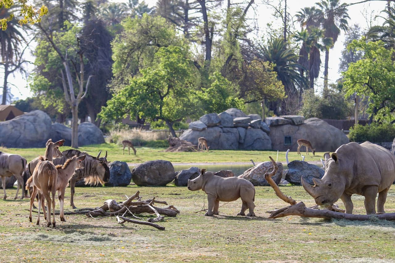 Cierran zoológico de Fresno para prevenir y evitar la propagación del coronavirus