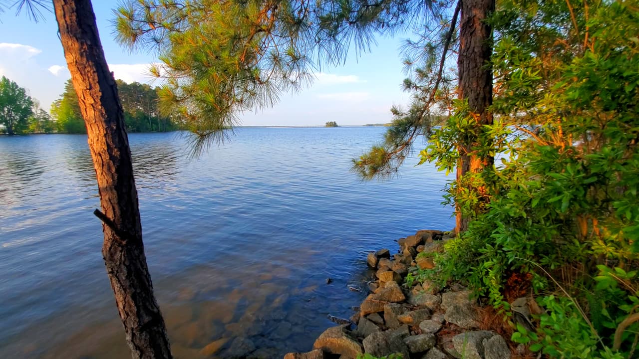 Mistletoe está en las orillas del lago Clarks Hill, uno de los embalses artificiales más grandes del sureste de Estados Unidos, según el Departamento de Recursos Naturales de Georgia.