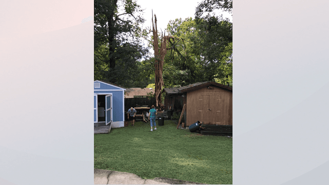 Un rayo parte literalmente un árbol en una casa en Raleigh