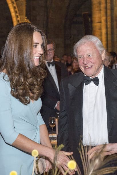 La Duquesa de Cambridge acudió a la entrega de los premios de fotografía Wildlife Photographer que se llevaron a cabo en el Museo de Historia Natural de Londres.