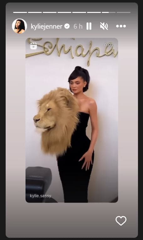 Aunque la marca ha especificado que se trata de 
<b>"falsa taxidermia",</b> la cadena de noticias reporta que en redes sociales hay usuarios que rechazan y critican la colección por mostrar cabezas de felinos aparentemente disecadas. 
<br>