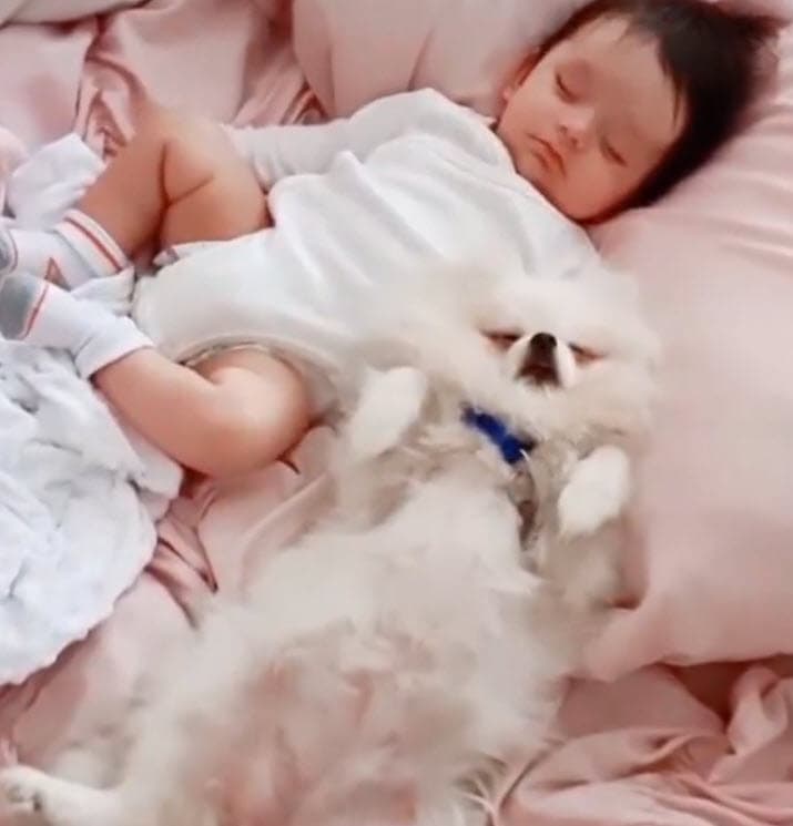 "Tampoco fue como que ella lo siguió atacando", aclaró sobre lo acontecido.
<br>