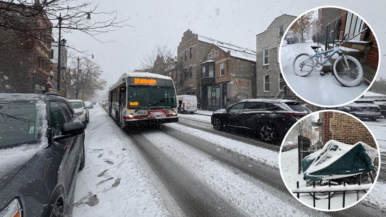 Chicago se cubrió de blanco debido a una mezcla invernal que ingresó durante la madrugada a la zona, provocando la primera nevada del año, para la ciudad y sus suburbios.