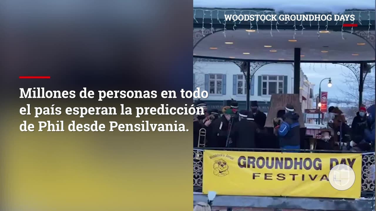 La famosa marmota Phil hace su predicción pero las de Wisconsin y Illinois lo contradicen 