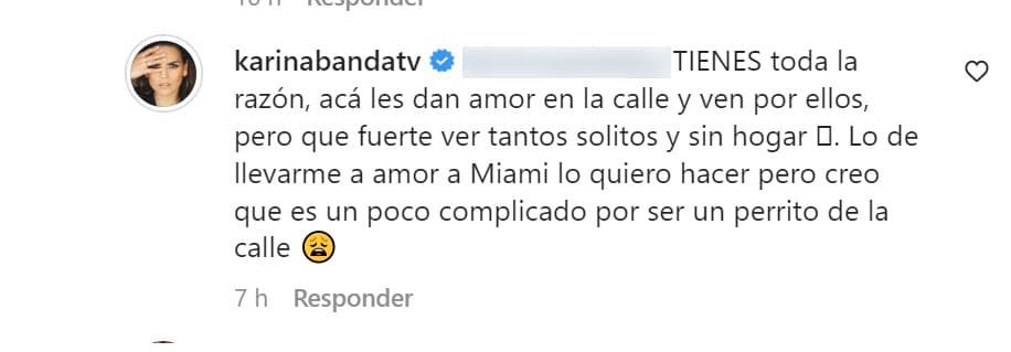 "Creo que 
<b>es un poco complicado</b> por ser un perrito de la calle", le dijo a una seguidora en Instagram a quien le confirmó que tiene el anhelo de llevárselo a su hogar en 'La Ciudad del Sol'.