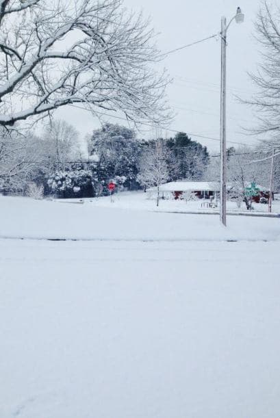 Fotografía tomada por Claudia Gómez Powell desde Tennesse.