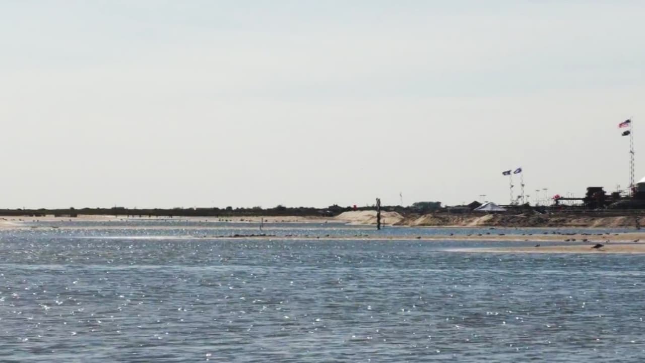Un bañista es atacado por un tiburón en Jones Beach: sufrió herida en uno de sus pies