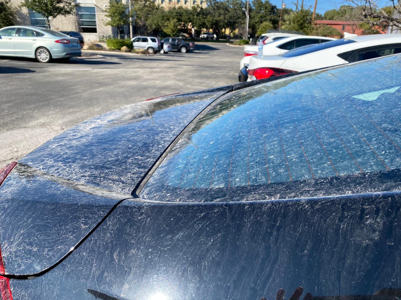 Del mismo modo, con el aguanieve se registraron algunos vientos que pudieron levantar el polvo que también estaba en el suelo.