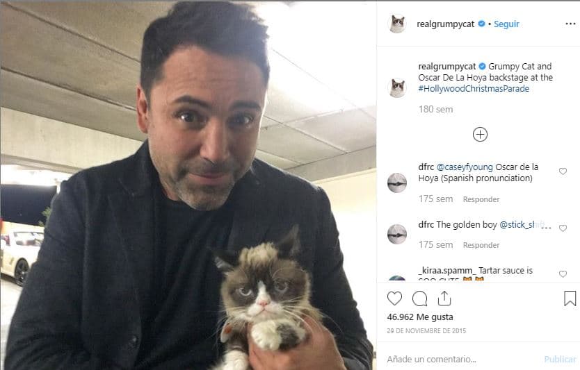 La gata también participó en la Hollywood Christmas Parade de 2015, ahí tuvo oportunidad de conocer a 
<b><a href="https://www.instagram.com/p/-sTfDpE1Fd/">Óscar de la Hoya</a></b>.