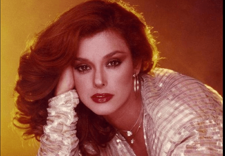 <b>Lucía Méndez</b>, cuando fue la protagonista de '
<b>Colorina</b>' en 1981, se convirtió en un auténtico ícono de la TV, siguiendo este éxito con otras telenovelas memorables como '
<b>Vanessa</b>' y '
<b>Tú o nadie</b>'.