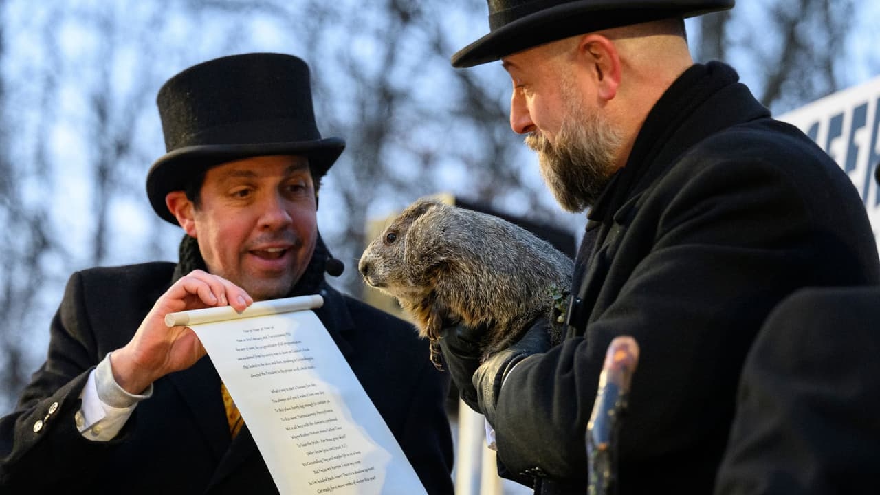 ‘Punxsatawney Phil’ y General Lee: cuál fue su predicción sobre el invierno este Día de la Marmota
