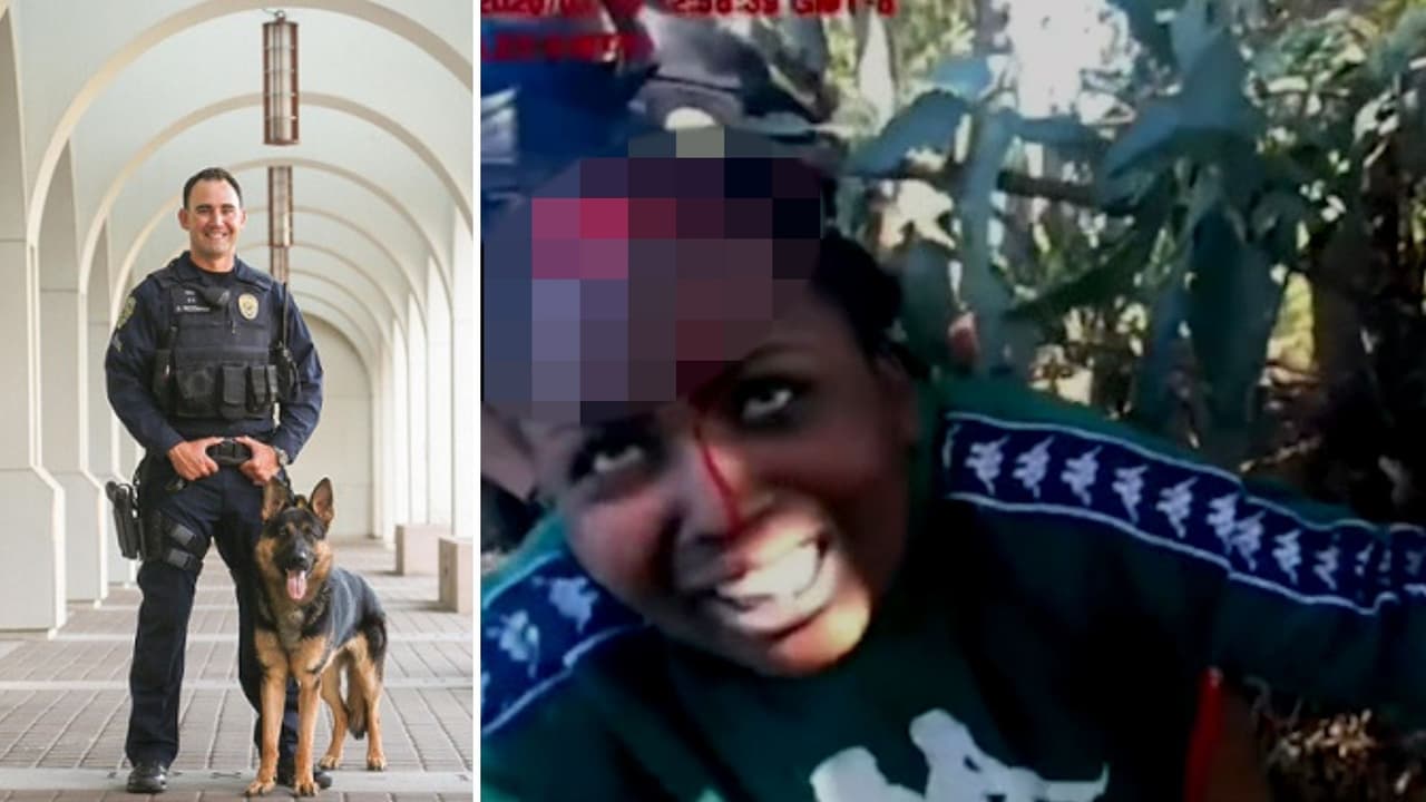 Video muestra a perro policía arrancando el cuero cabelludo de una detenida