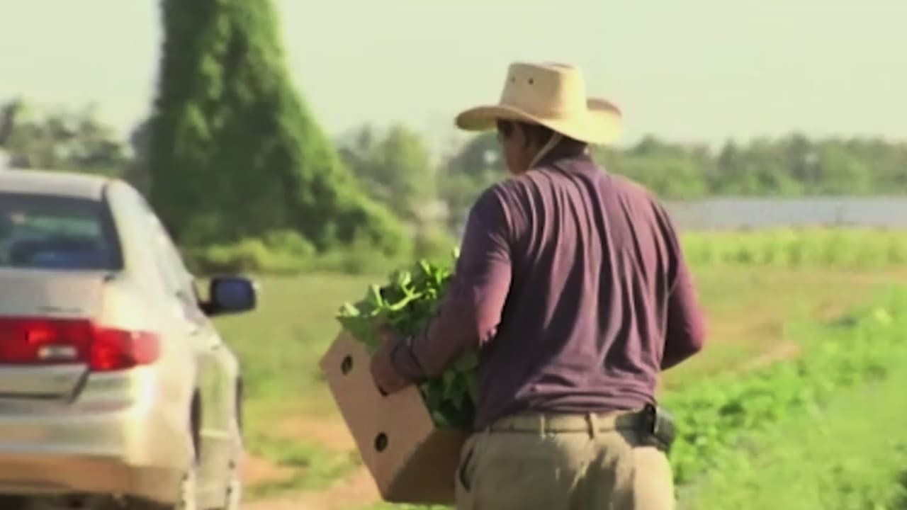 Las dificultades que trabajadores agrícolas enfrentaron en Carolina del Norte durante el 2025