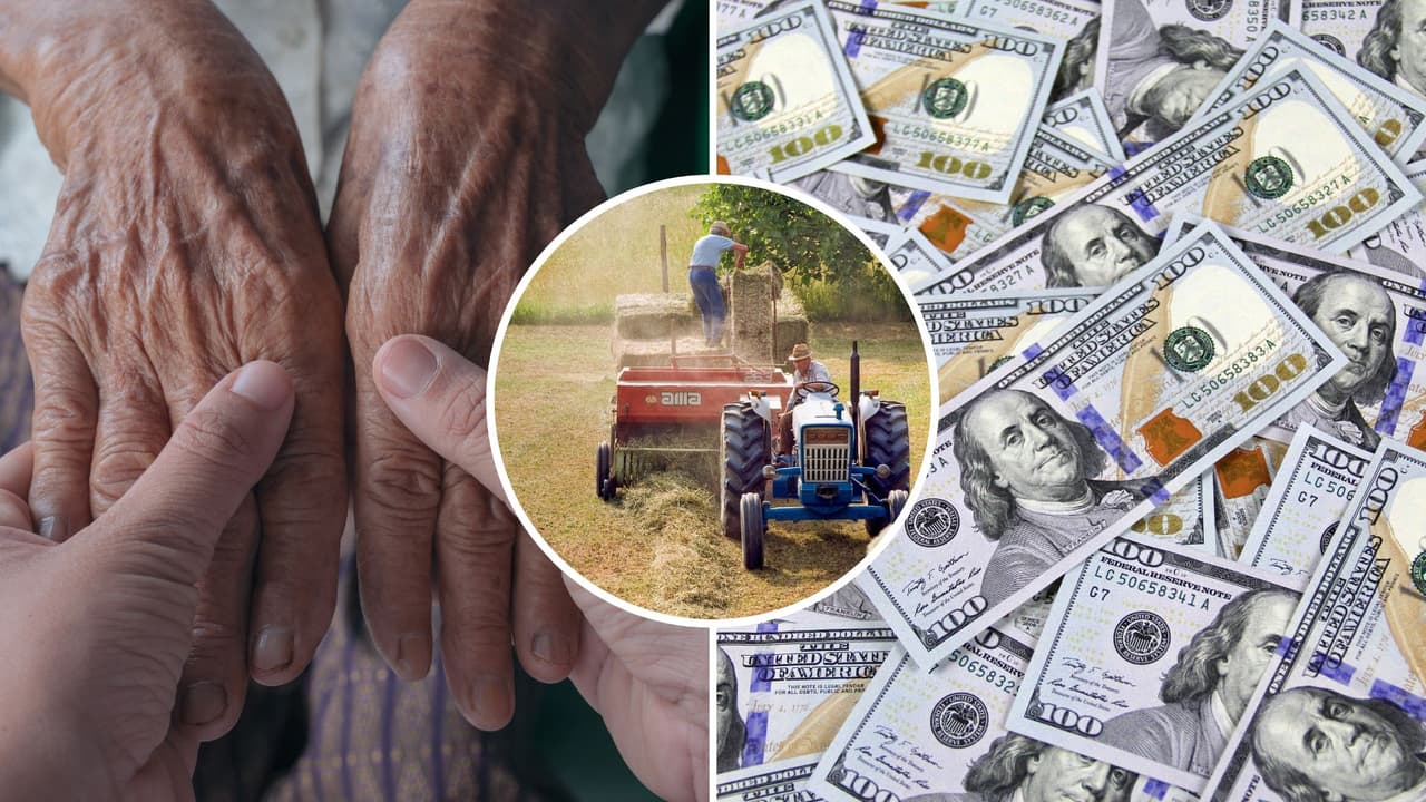 Así es como puedes aplicar a CAPI, el programa de ayuda económica para inmigrantes en California