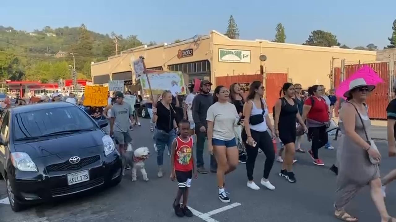 En un giro de acontecimientos que ha dejado a numerosas familias en vilo, pues el centro educativo Centro Infantil Fairfax-San Anselmo, subsidiado por el Departamento de Educación Estatal en el distrito escolar de Ross Valley, enfrenta una situación crítica. 
<br>