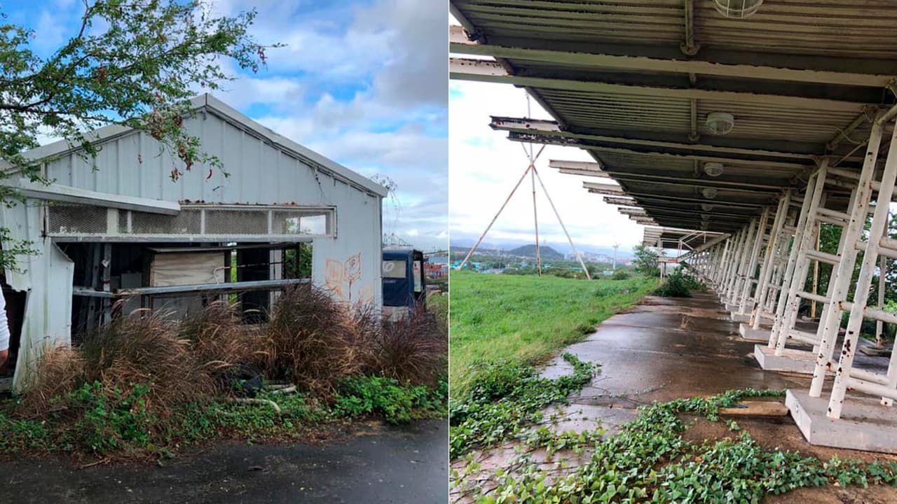 📸 ¡Lamentable! Abandonado y en deterioro el Parque de Golf de San Juan