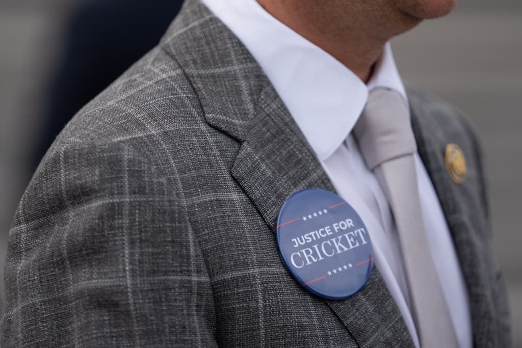 El mismo día en que se informó que Kristi Noem saldría de la jefatura del DHS, algunas personas, como el representante demócrata Jared Moskowitz, del Distrito 23 de Florida, presumían este botón con el mensaje 
<b>'Justicia para Cricket'</b>. Se refieren a la perra que Kristi Noem mató, según contó en su libro 'Sin vuelta atrás: la verdad sobre lo que está mal en la política y cómo hacemos avanzar a Estados Unidos' (No Going Back: The Truth on What's Wrong with Politics and How We Move America Forward).