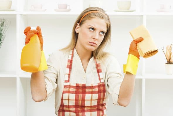 Los productos de limpieza del hogar y los desinfectantes son tóxicos para las mascotas.