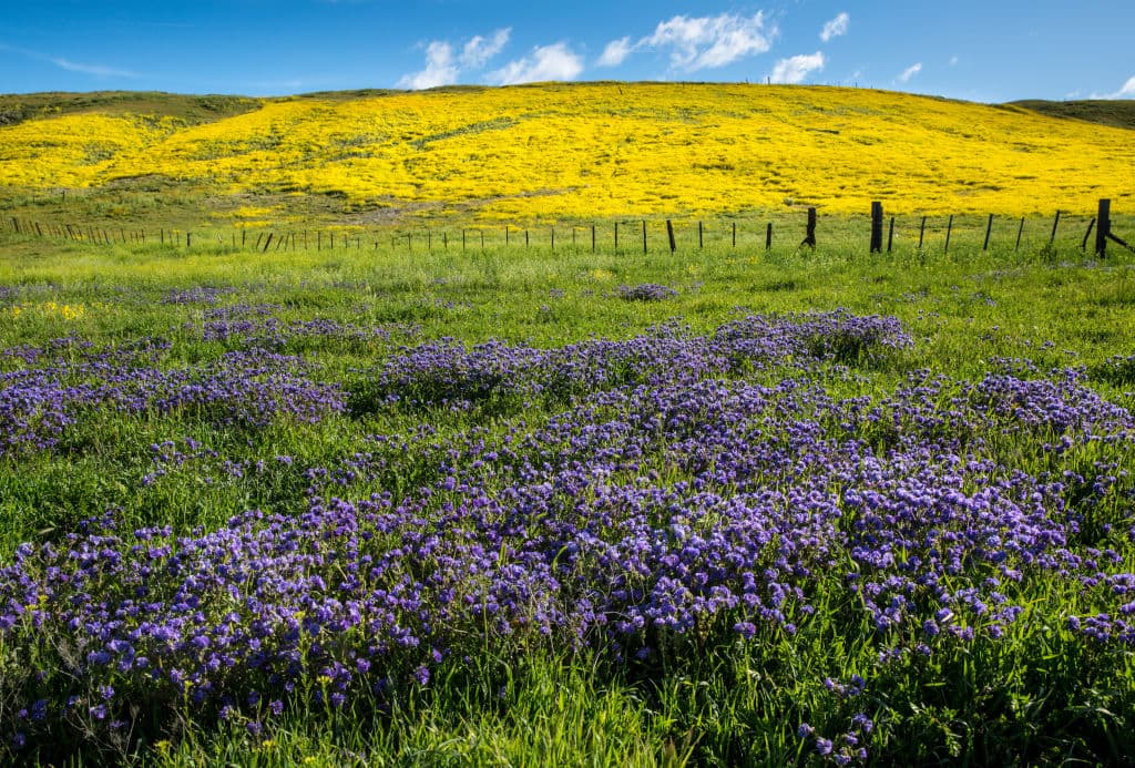 Equípate con mucha agua para beber , un tanque lleno de gasolina y comida o bocadillos, dependiendo de la duración de la estadía.
