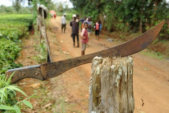 Por la creciente demanda, un buen impermeable o un machete de la serie táctica ahora duplica su valor, y según el dependiente del establecimiento tienden a venderse más caros conforme se acerca la fecha de la profecía.
