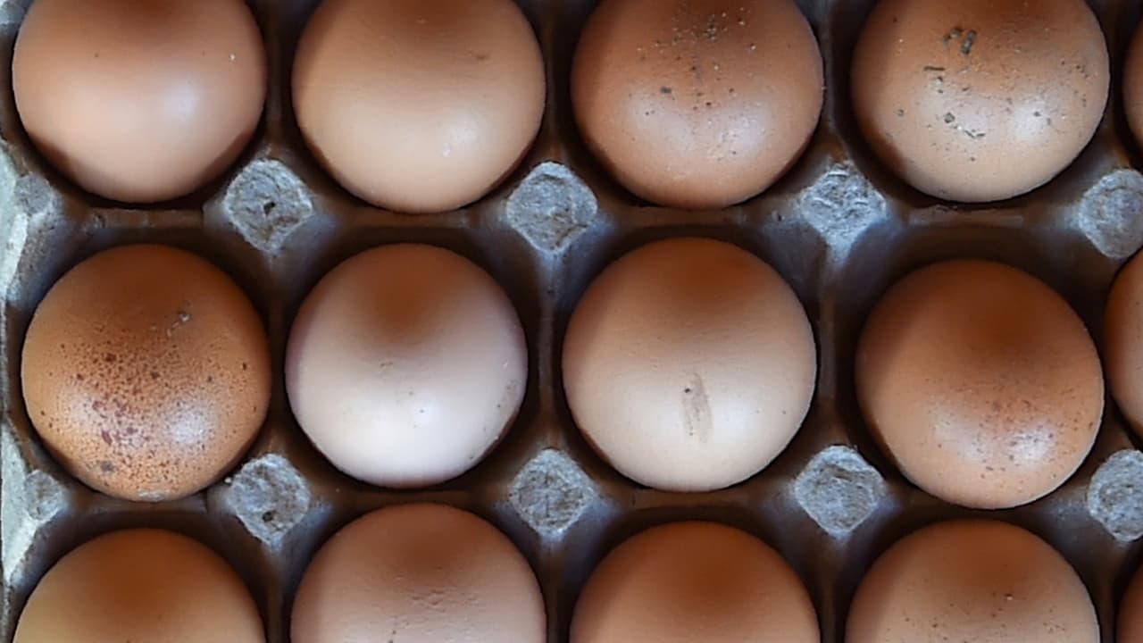 Brote de salmonela afecta a más personas a pesar de haber retirado del mercado los huevos infectados