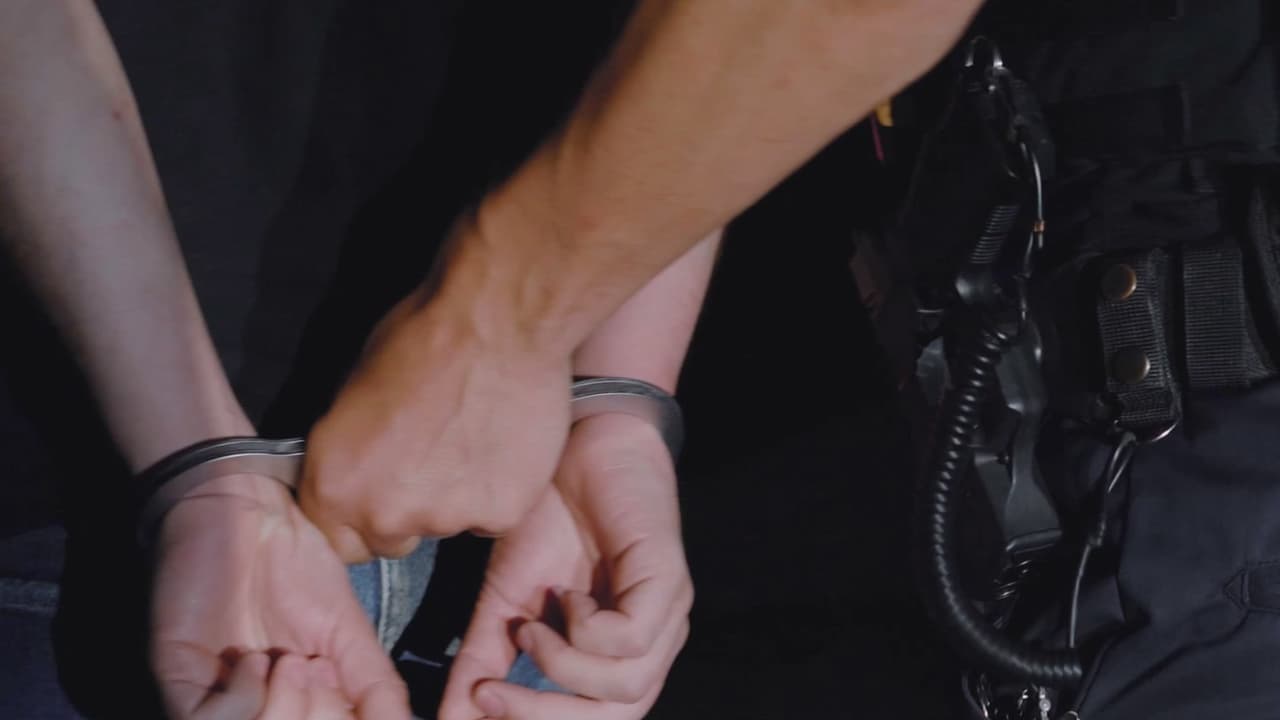 Detalles del seguro que propone ICE para proteger a agentes locales que realicen arrestos migratorios