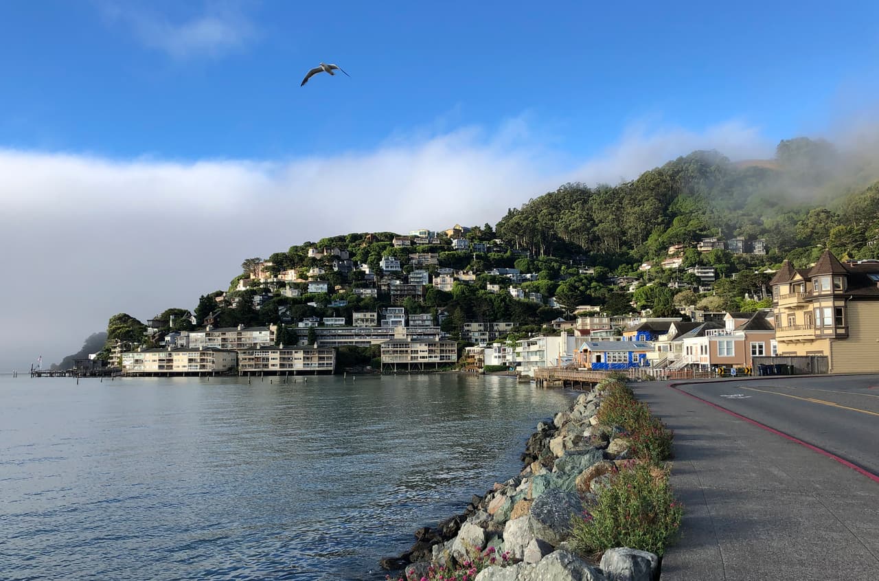 <b>Marin.</b> Liderando la lista de
<a href="https://www.univision.com/local/san-francisco-kdtv/ganar-mas-de-120-000-o-tener-5-empleos-lo-necesario-para-rentar-un-apartamento-en-la-bahia-de-san-francisco" target="_blank">los 10 condados más caros</a> para vivir en los Estados Unidos está el de Marin, que cuenta con una vista maravillosa del famoso
<a href="https://www.univision.com/local/san-francisco-kdtv/un-escenario-de-protestas-postales-y-peliculas-el-imponente-puente-golden-gate-cumple-82-anos-fotos" target="_blank">Puente Golden Gate</a>, pero para poder alquilar un apartamento de dos habitaciones aquí se requiere que la persona gane $60.96 por hora para poder pagar un alquiler de $3,170 en promedio al mes.
<br>