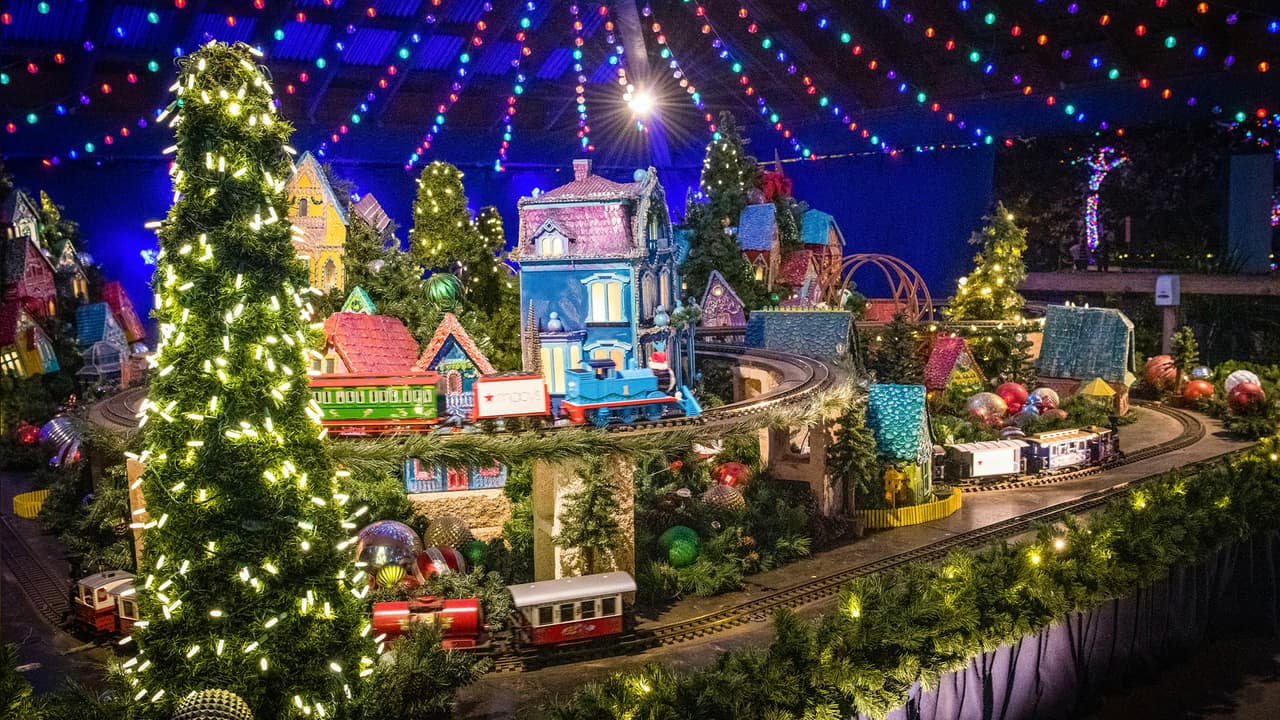 Quienes quieran saludar a los animales deberán ir en el día, mientras que las luces se encenderán a partir de las 5:30 pm.