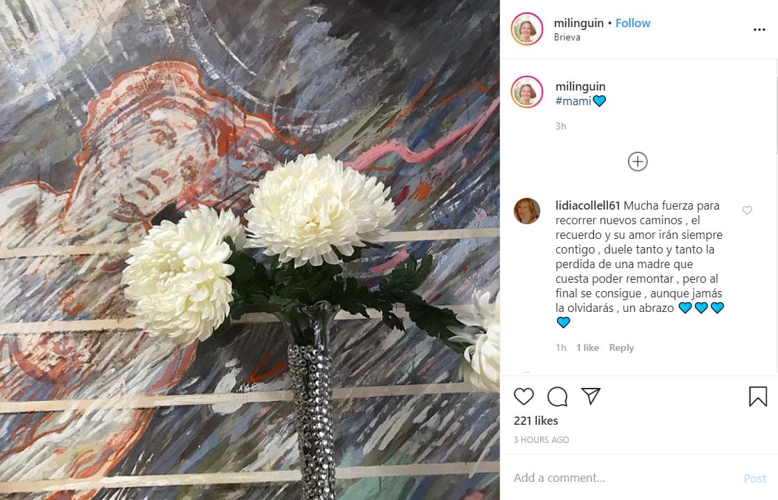 Después del anuncio de Miguel Bosé, la actriz, diseñadora de moda y empresaria española, Paola Dominguín, una de las hijas de la actriz Lucía Bosé, compartió esta imagen y escribió: "#mami".