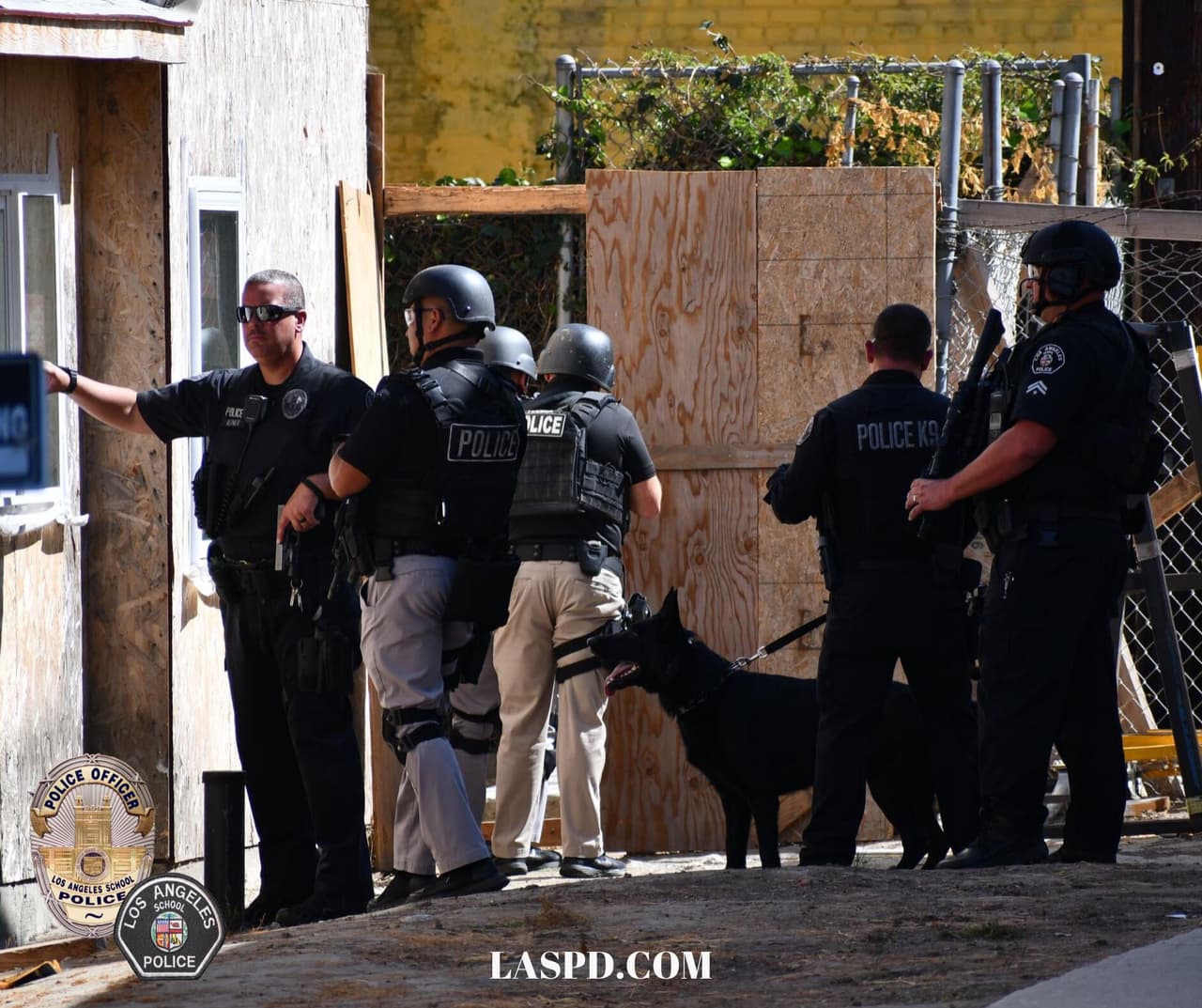 Sin embargo, una persona de la comunidad informó a las autoridades sobre su posible paradero y que el individuo quería entregarse.