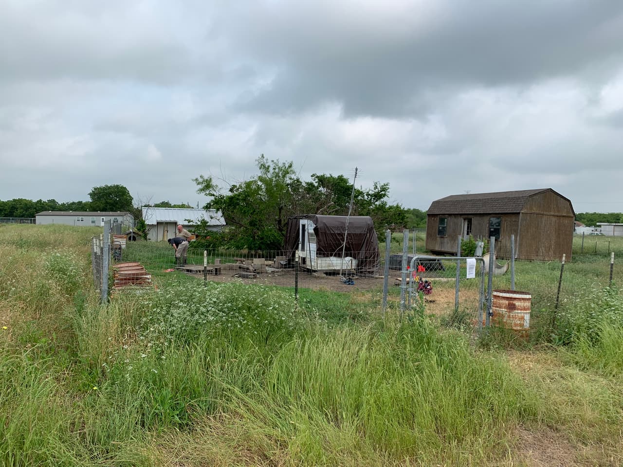 Hombre de Texas fue devorado por 18 perros en su propia casa