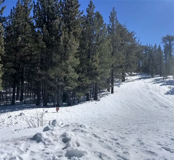 <b>Woollys Tube Park Snow Play:</b>
<br>La zona de toboganes está creada para la diversión de niños de todas las edades. 
<br>
<br>Dirección: 9000 Minaret Rd #200, Mammoth Lakes, CA 93546