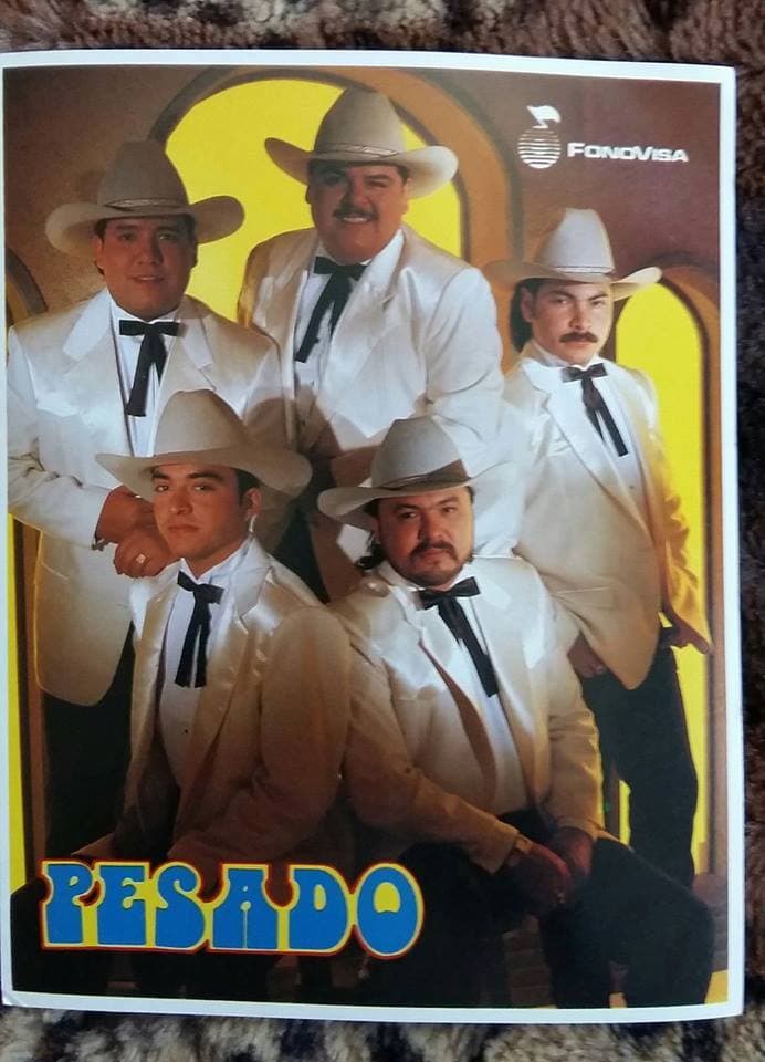 Pesado surgió en 1993 en Monterrey, Nuevo León gracias a la inquietud que tenían sus fundadores Beto Zapata y Pepe Elizondo de seguir los pasos de sus ídolos de la música norteña, pero dándo un estilo único y diferente con base en la manera especial con la que Beto toca el acordeón.