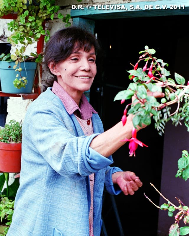 Vive en una vecindad con su madrina Tomasa (Magda Guzmán).