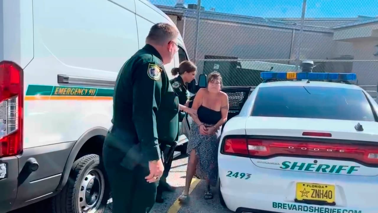 Mujer mata a puñaladas al perro de su esposo porque tenía rabia con él