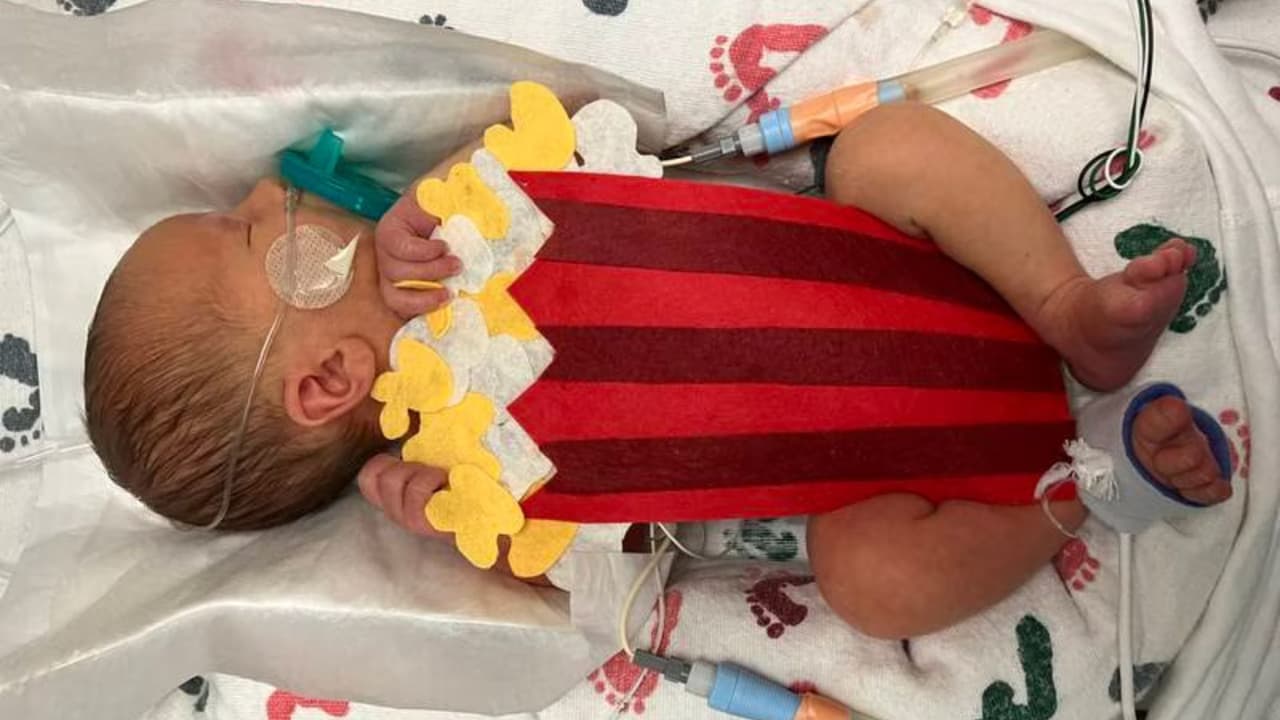 ¿Alguien pidió unas palomitas?